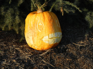 Big Teeth, Nipomo Pumpkin Patch best carving idea